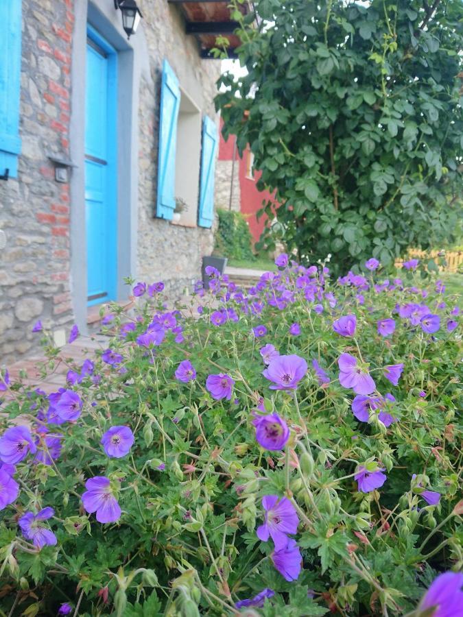B&B La Casa Dei Cuori Millesimo Bagian luar foto